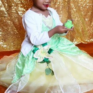 DELUXE princess and the frog costume